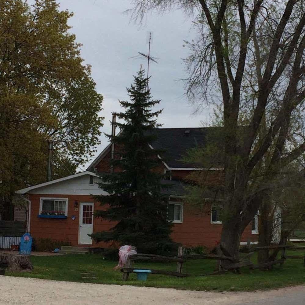 Emily'S Place B&B Creemore Dış mekan fotoğraf
